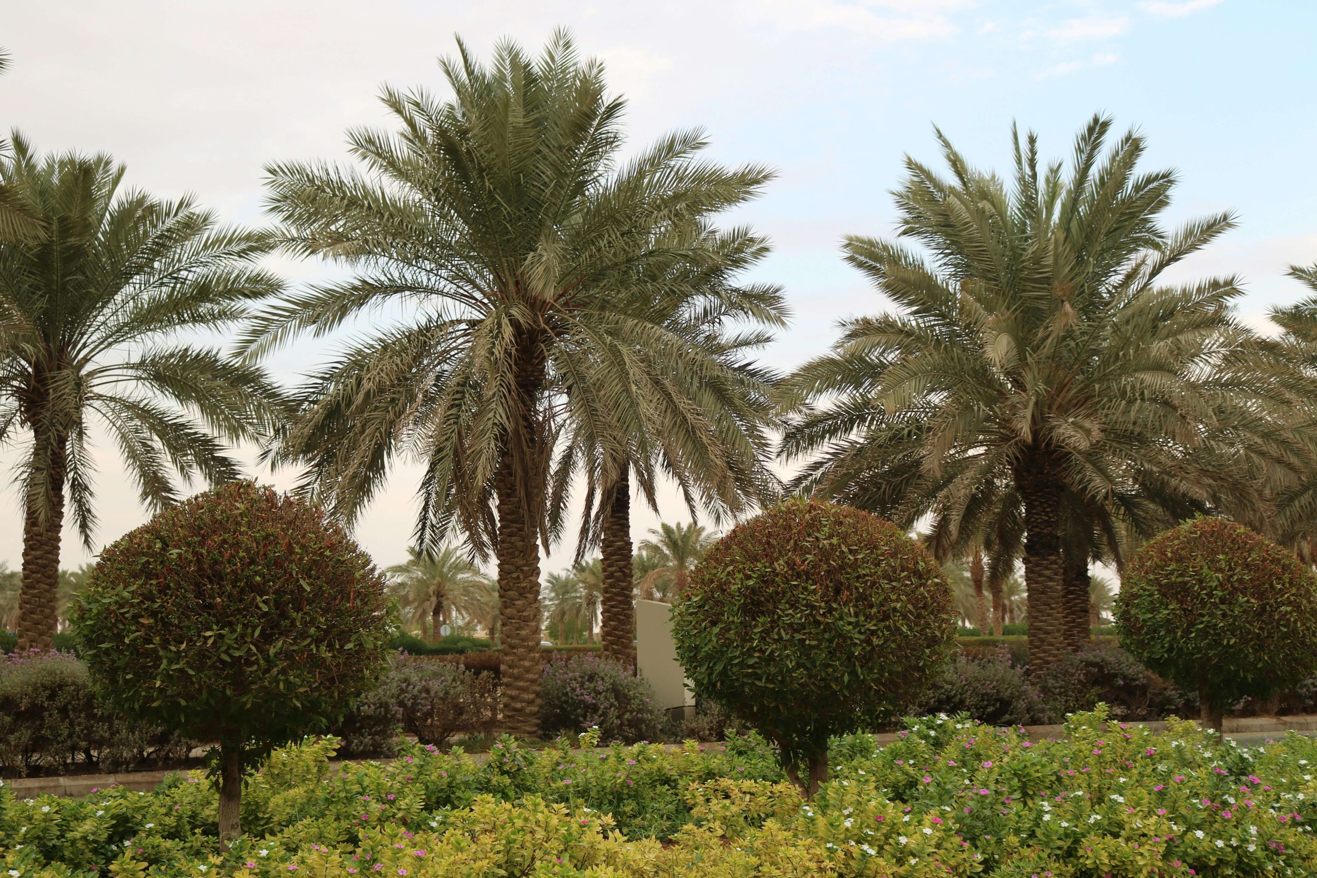 Nad Al Sheba